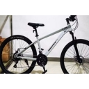 Велосипед VL-606 29" BJG12N Серый