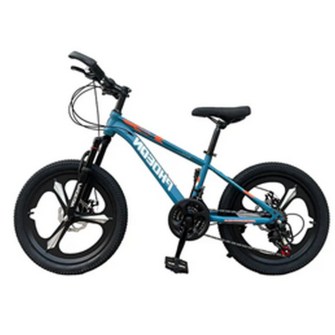 251008_4841043207997