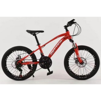 251008_4841043208079